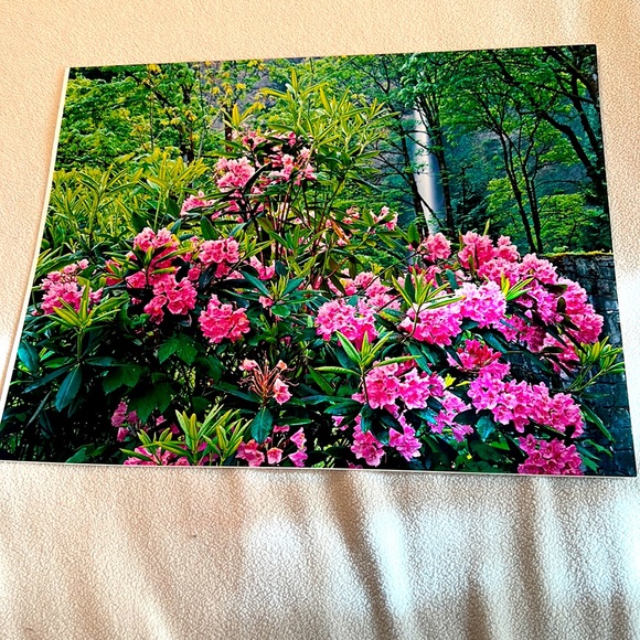 Other - Floral Print